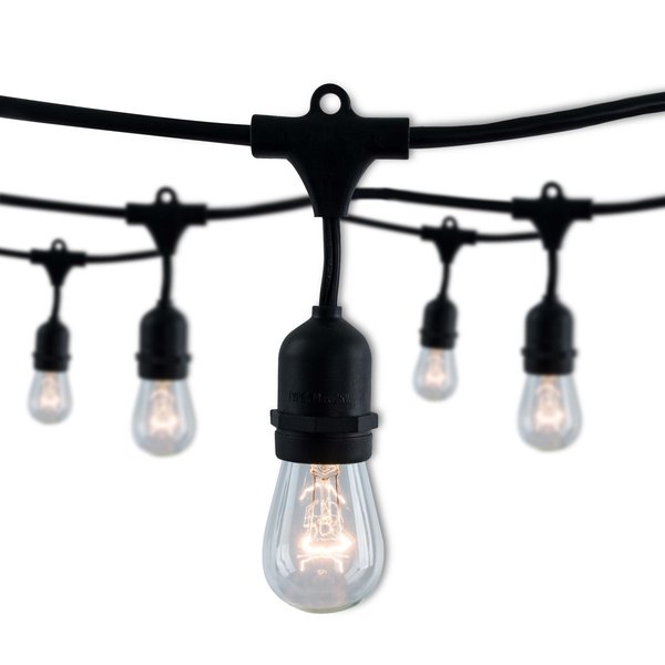 Bulbrite 30 ft. Plug-In Edison Bulb S14 Incandescent Vintage Style Black String Light 12 Sockets- Bulbs 812312